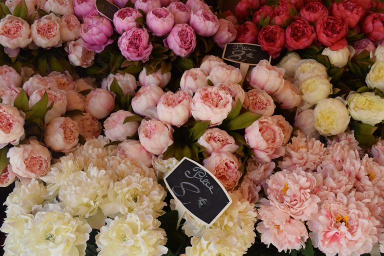 Rows of mixed cut flowers in varied colors fill stalls at an outdoor flower market.